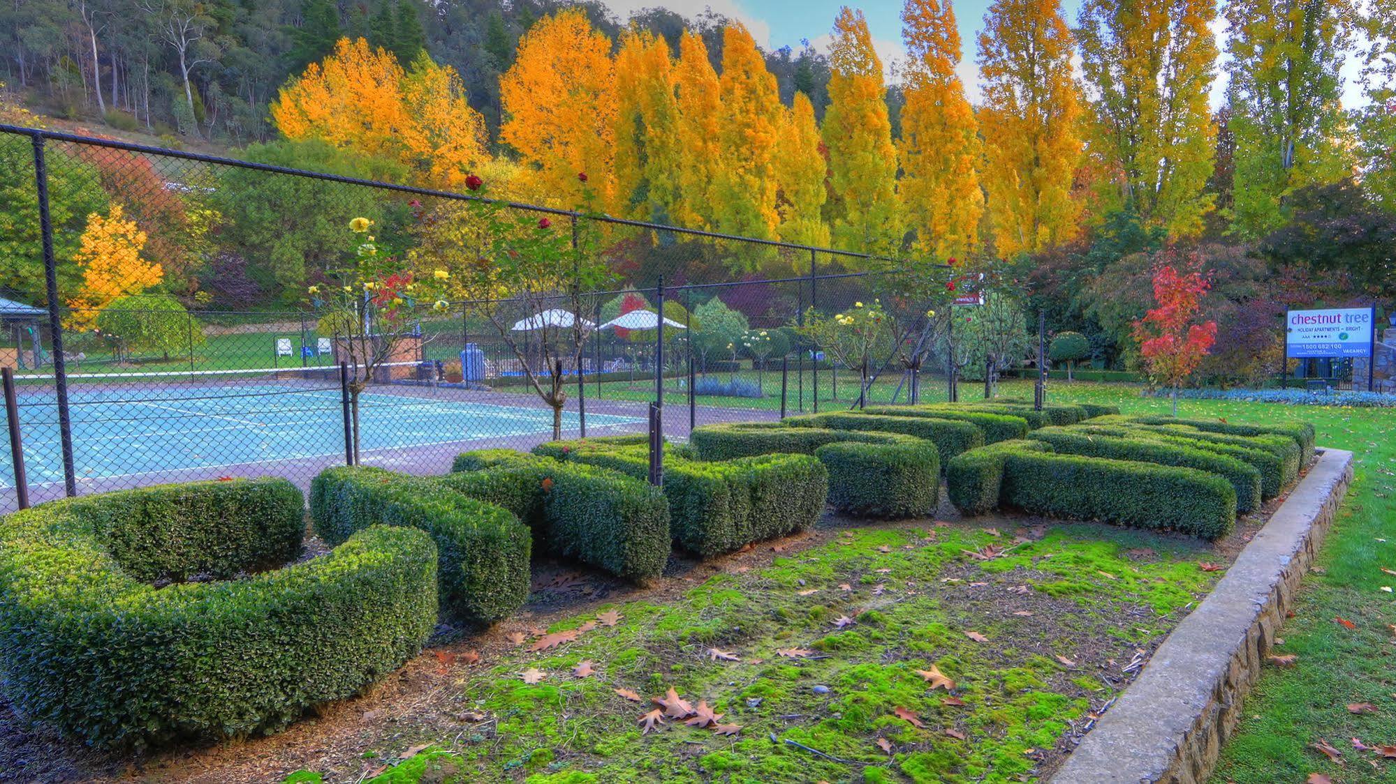 Chestnut Tree Holiday Units Bright Kültér fotó